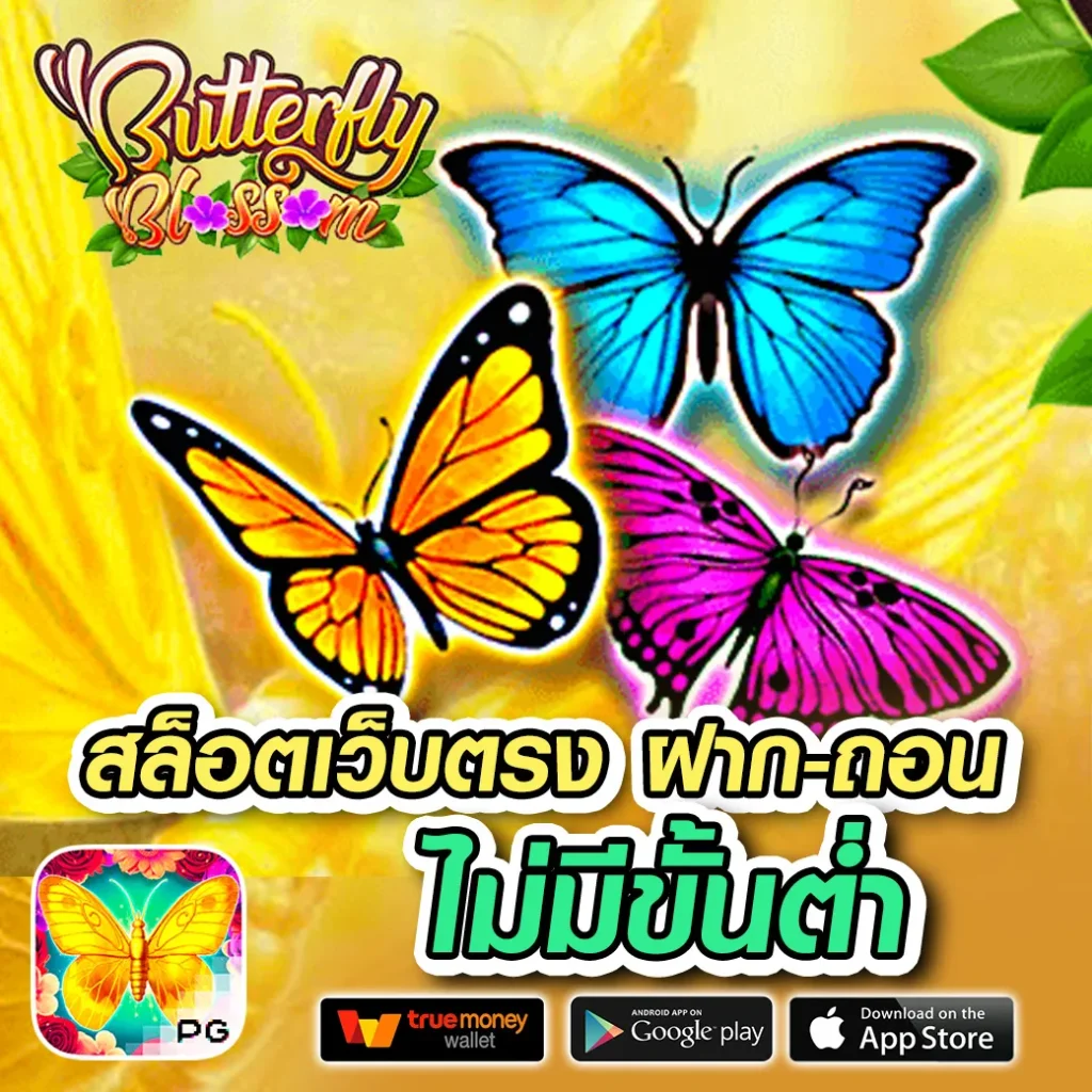 ทางเข้า borhu-789